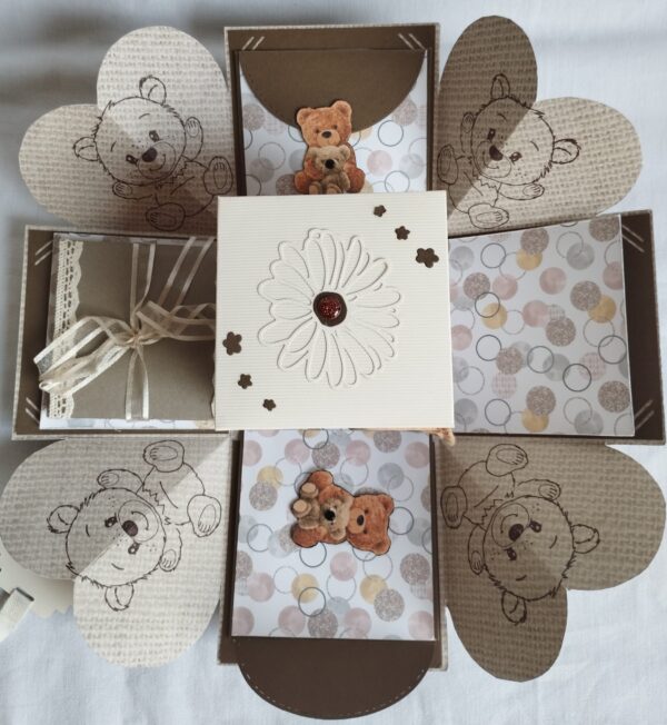 Boite explosion naissance ourson – Image 4