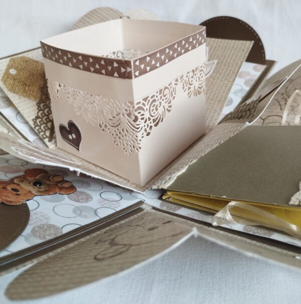 Boite explosion naissance ourson – Image 8