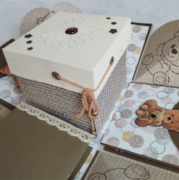 Boite explosion naissance ourson – Image 5