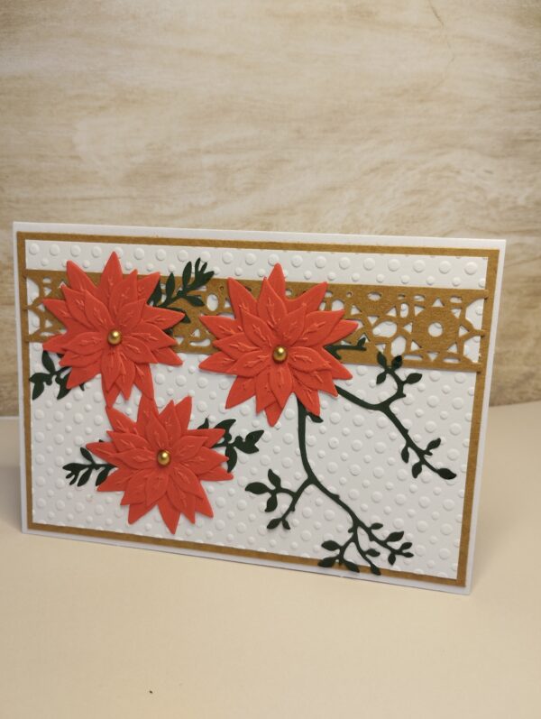 Poinsettia sur branche