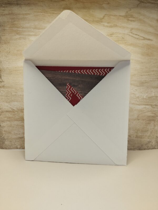 Etoile rouge de noël – Image 3